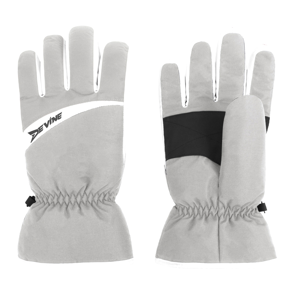 Ski Gloves